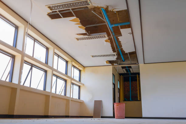 Best Flood damage cleanup  in Spencer, TN