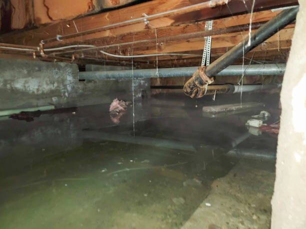 Best Local water damage restoration  in Spencer, TN