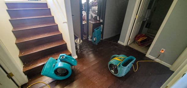 Best Mold removal after water damage  in Spencer, TN