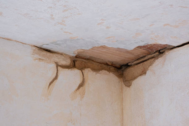 Best Water damage restoration insurance claims  in Spencer, TN