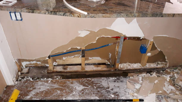 Best Water damage restoration process  in Spencer, TN