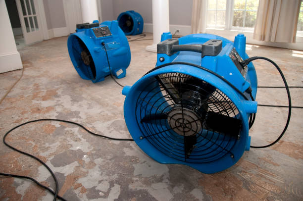 Water damage restoration process in TN