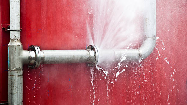 Best Professional water damage repair  in Spencer, TN